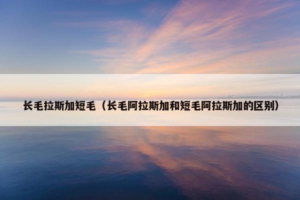 长毛拉斯加短毛（长毛阿拉斯加和短毛阿拉斯加的区别）