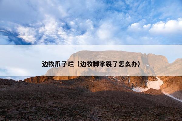 边牧爪子烂（边牧脚掌裂了怎么办）