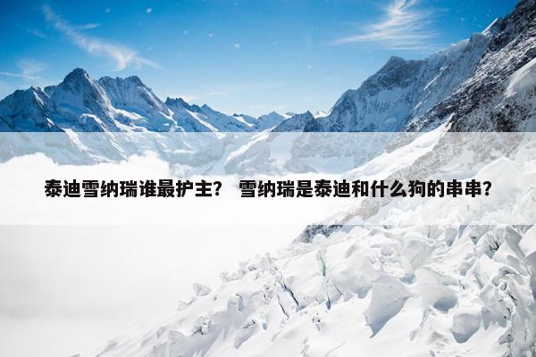泰迪雪纳瑞谁最护主？ 雪纳瑞是泰迪和什么狗的串串？
