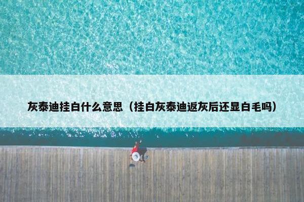 灰泰迪挂白什么意思（挂白灰泰迪返灰后还显白毛吗）