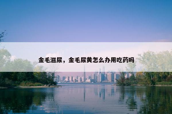 金毛滋尿，金毛尿黄怎么办用吃药吗