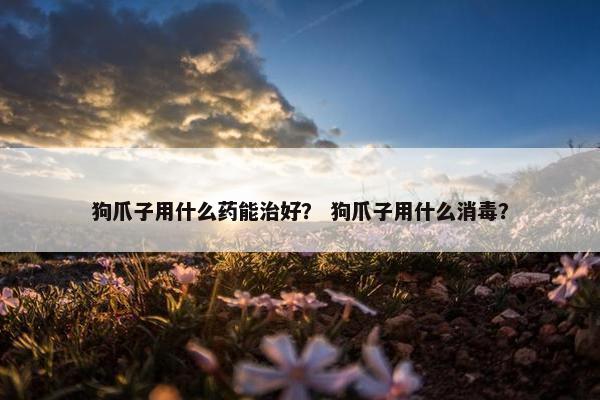 狗爪子用什么药能治好？ 狗爪子用什么消毒？