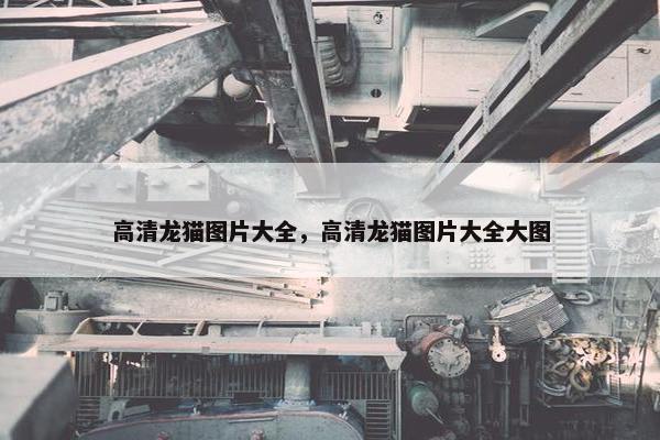 高清龙猫图片大全，高清龙猫图片大全大图