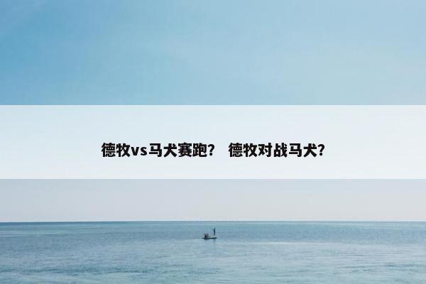 德牧vs马犬赛跑？ 德牧对战马犬？