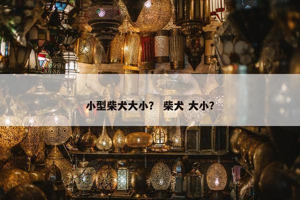 小型柴犬大小？ 柴犬 大小？