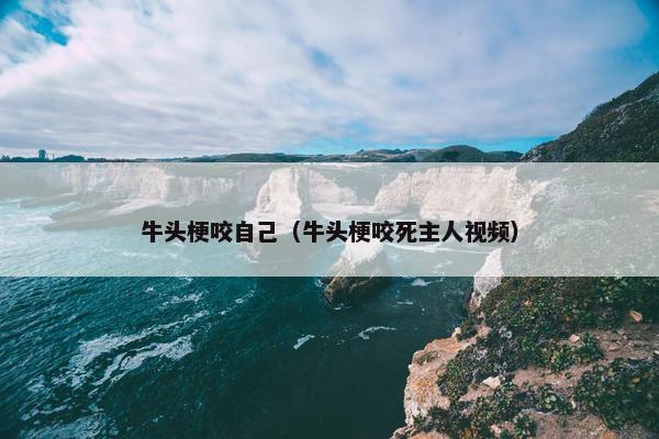 牛头梗咬自己（牛头梗咬死主人视频）