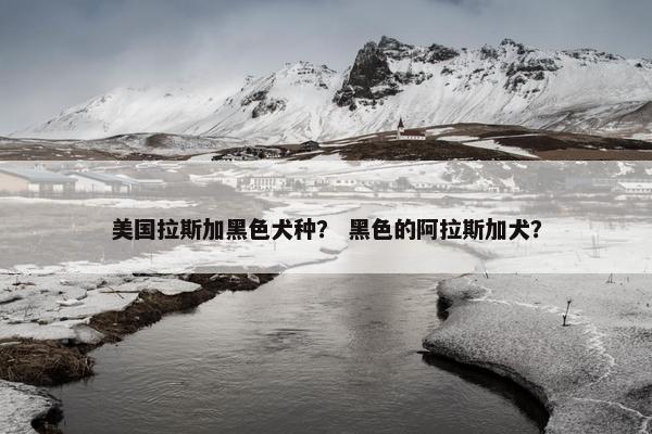 美国拉斯加黑色犬种？ 黑色的阿拉斯加犬？