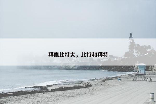 拜泉比特犬，比特和拜特