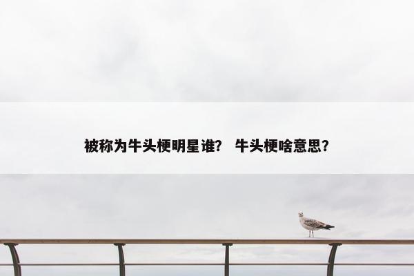 被称为牛头梗明星谁？ 牛头梗啥意思？