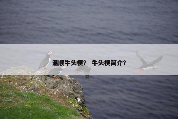温顺牛头梗？ 牛头梗简介？