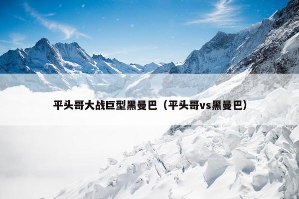 平头哥大战巨型黑曼巴（平头哥vs黑曼巴）