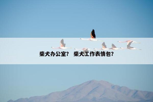 柴犬办公室？ 柴犬工作表情包？