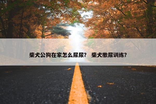 柴犬公狗在家怎么尿尿？ 柴犬撒尿训练？