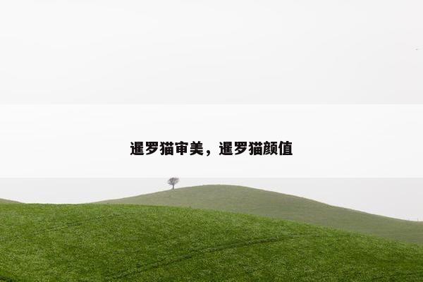 暹罗猫审美，暹罗猫颜值