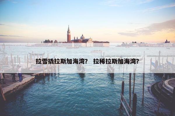 拉雪撬拉斯加海湾？ 拉稀拉斯加海湾？