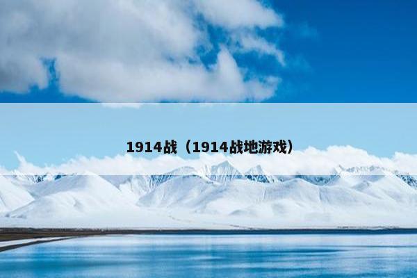 1914战（1914战地游戏）