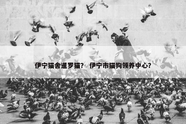 伊宁猫舍暹罗猫？ 伊宁市猫狗领养中心？