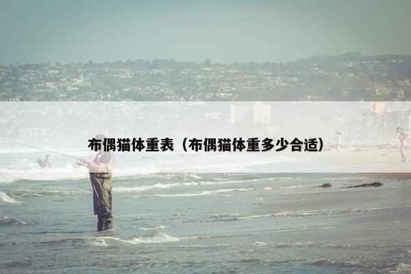 布偶猫体重表（布偶猫体重多少合适）