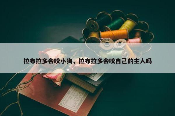 拉布拉多会咬小狗，拉布拉多会咬自己的主人吗
