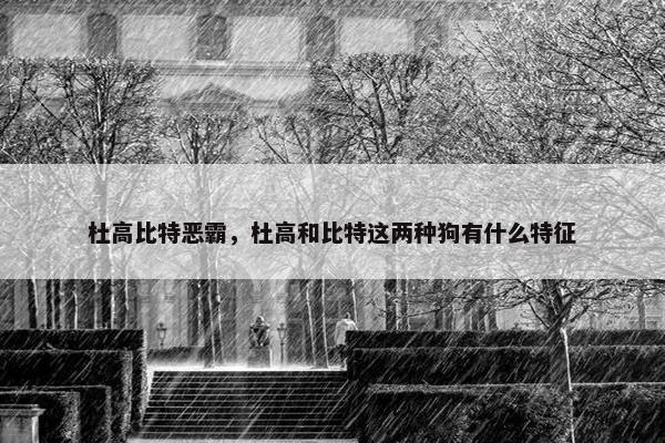 杜高比特恶霸，杜高和比特这两种狗有什么特征