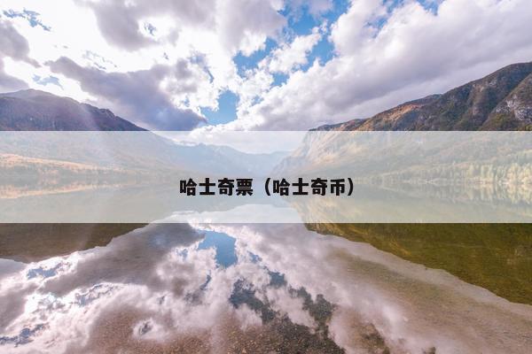 哈士奇票（哈士奇币）