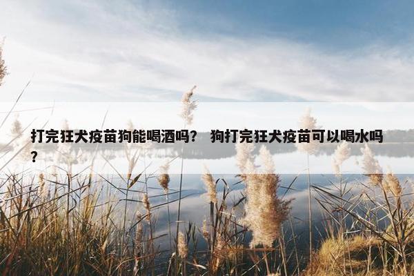 打完狂犬疫苗狗能喝酒吗？ 狗打完狂犬疫苗可以喝水吗？