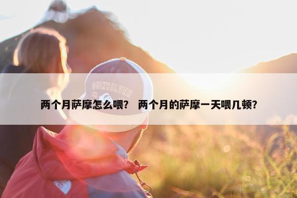 两个月萨摩怎么喂？ 两个月的萨摩一天喂几顿？