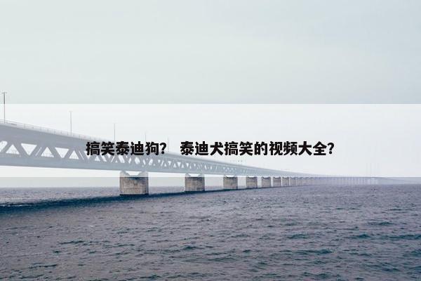 搞笑泰迪狗？ 泰迪犬搞笑的视频大全？