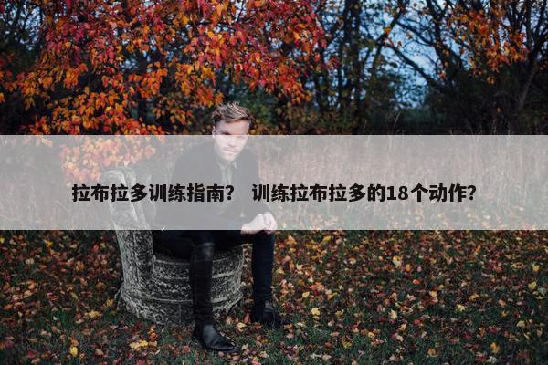拉布拉多训练指南？ 训练拉布拉多的18个动作？