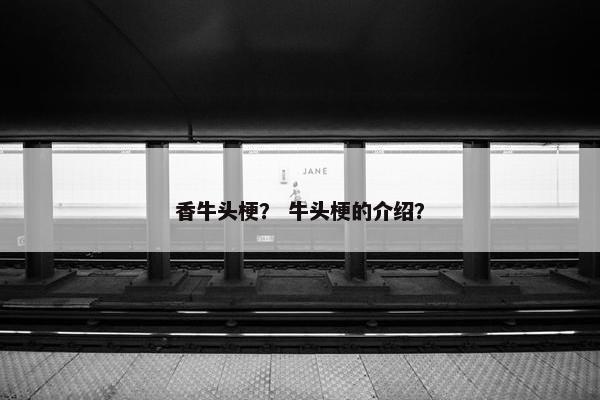 香牛头梗？ 牛头梗的介绍？