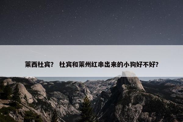 莱西杜宾？ 杜宾和莱州红串出来的小狗好不好？