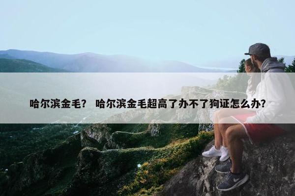 哈尔滨金毛？ 哈尔滨金毛超高了办不了狗证怎么办？
