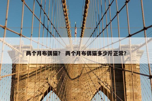 两个月布偶猫？ 两个月布偶猫多少斤正常？