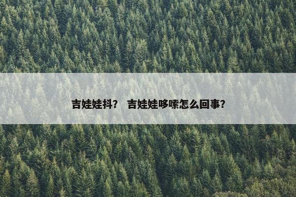 吉娃娃抖？ 吉娃娃哆嗦怎么回事？