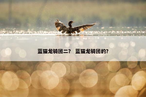蓝猫龙骑团二？ 蓝猫龙骑团的？