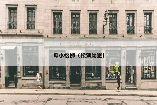 母小松狮（松狮幼崽）