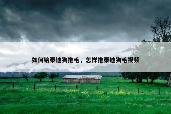 如何给泰迪狗推毛，怎样推泰迪狗毛视频