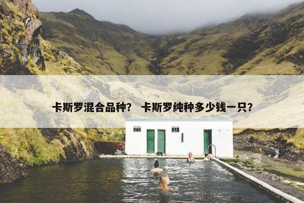 卡斯罗混合品种？ 卡斯罗纯种多少钱一只？