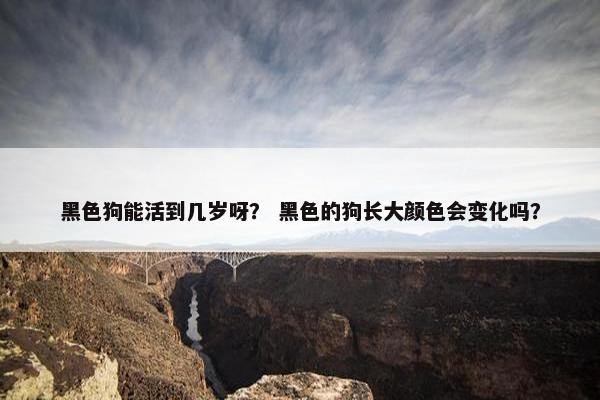 黑色狗能活到几岁呀？ 黑色的狗长大颜色会变化吗？