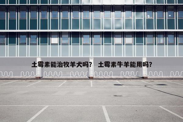 土霉素能治牧羊犬吗？ 土霉素牛羊能用吗？