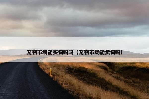 宠物市场能买狗吗吗（宠物市场能卖狗吗）