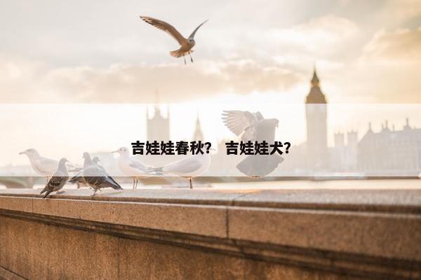 吉娃娃春秋？ 吉娃娃犬？