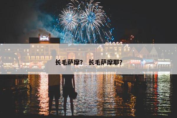 长毛萨摩？ 长毛萨摩耶？