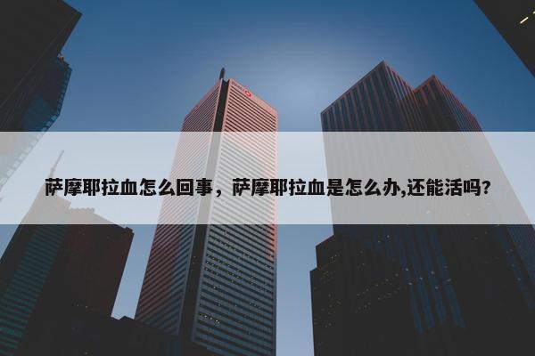 萨摩耶拉血怎么回事，萨摩耶拉血是怎么办,还能活吗?