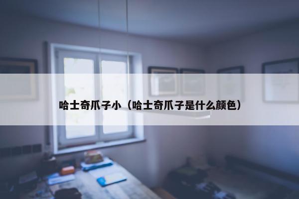 哈士奇爪子小（哈士奇爪子是什么颜色）