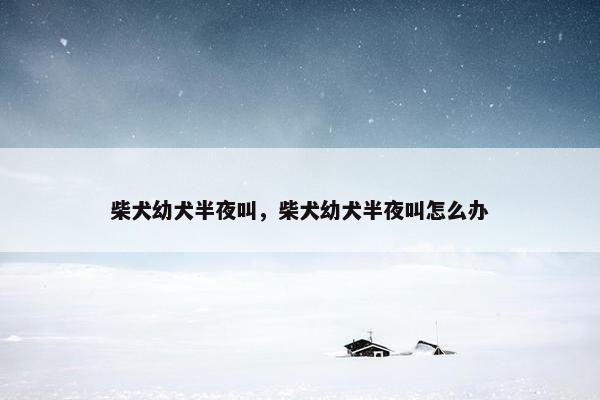 柴犬幼犬半夜叫，柴犬幼犬半夜叫怎么办