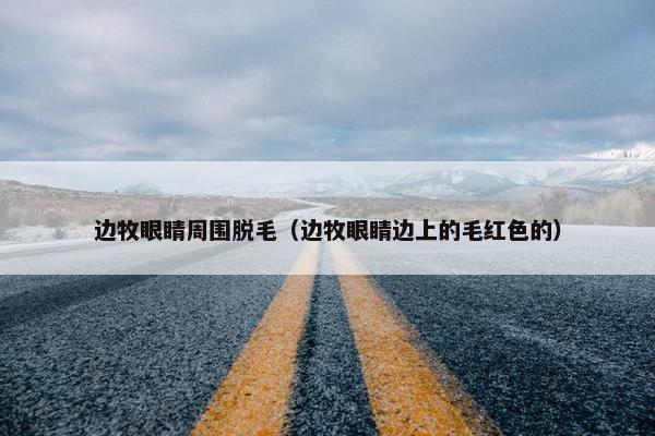 边牧眼睛周围脱毛（边牧眼睛边上的毛红色的）