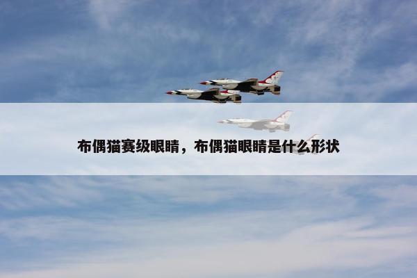 布偶猫赛级眼睛，布偶猫眼睛是什么形状
