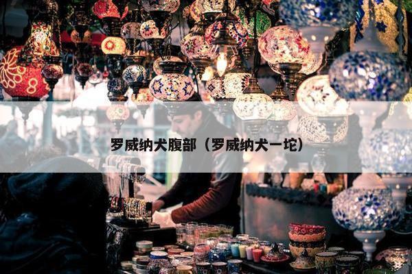 罗威纳犬腹部（罗威纳犬一坨）