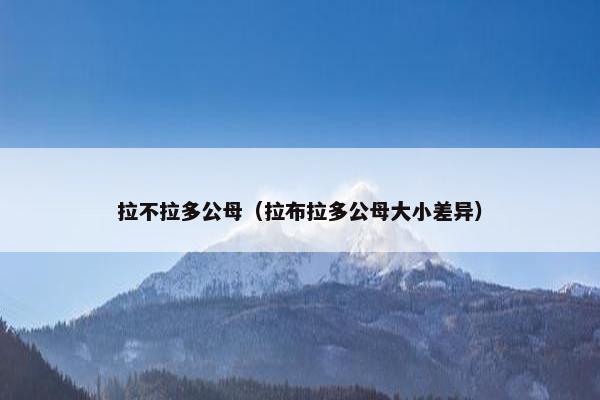 拉不拉多公母（拉布拉多公母大小差异）